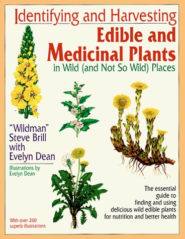 Wild Edible Plants of Texas The Essential Forages Volume 1 