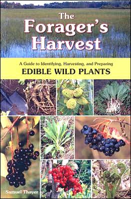 How do you identify edible wild plants?